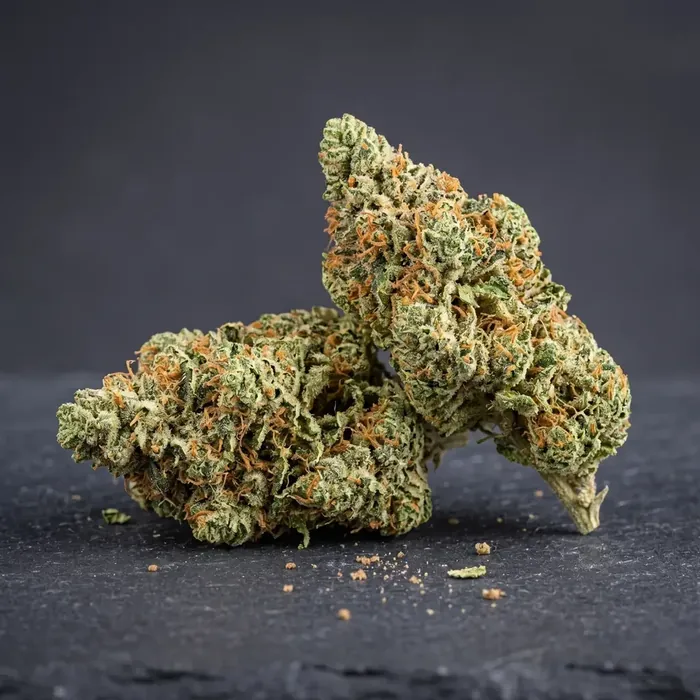 Amnesia CBD Green Connection