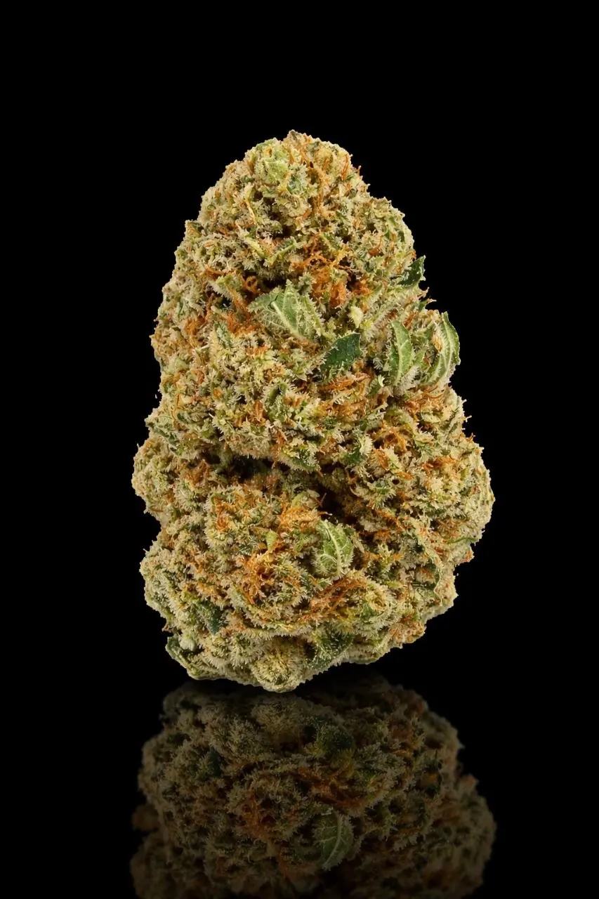 Amnesia 2.0 Hydro THCA