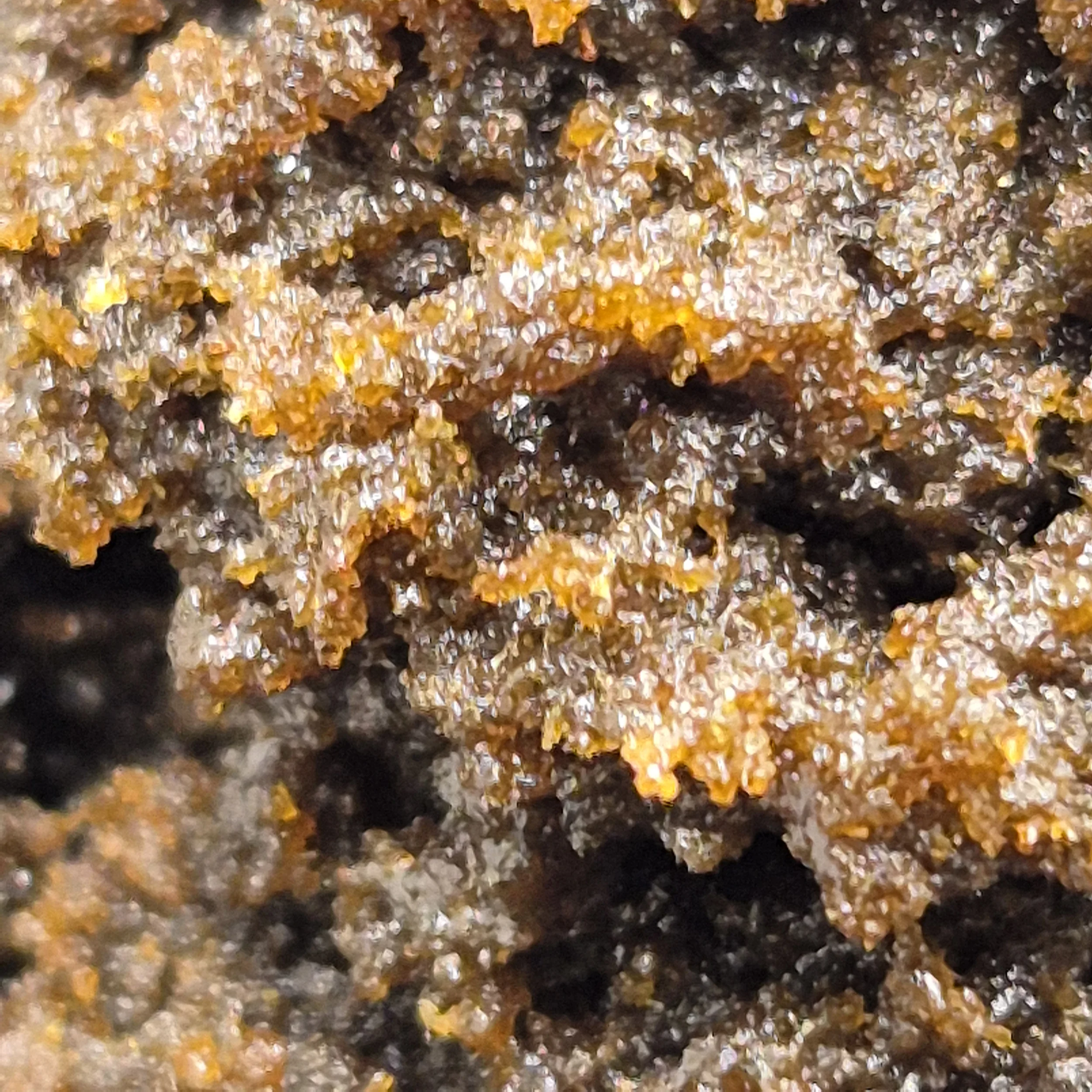 Holy Hash CBN macro, Green Connection