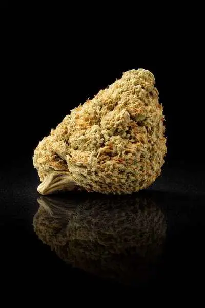 Lemon Pop Hydro THCA