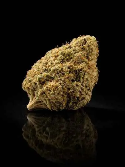 Lifter US Hydro THCA