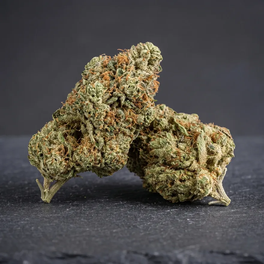 Northern Lights THCA flower wholesale Germany